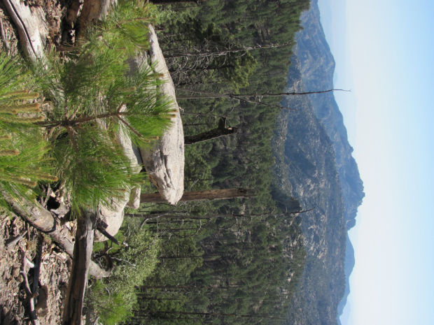 Classic hike in the Catalinas offers respite from the heat